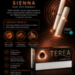 SIENNA IQOS ILUMA Dubai UAE TEREA 1 KARTON 200 STİCK