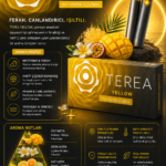 YELLOW IQOS ERMENİSTAN TEREA 1 KARTON 200 STİCK